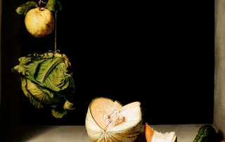 historia-alimentacion